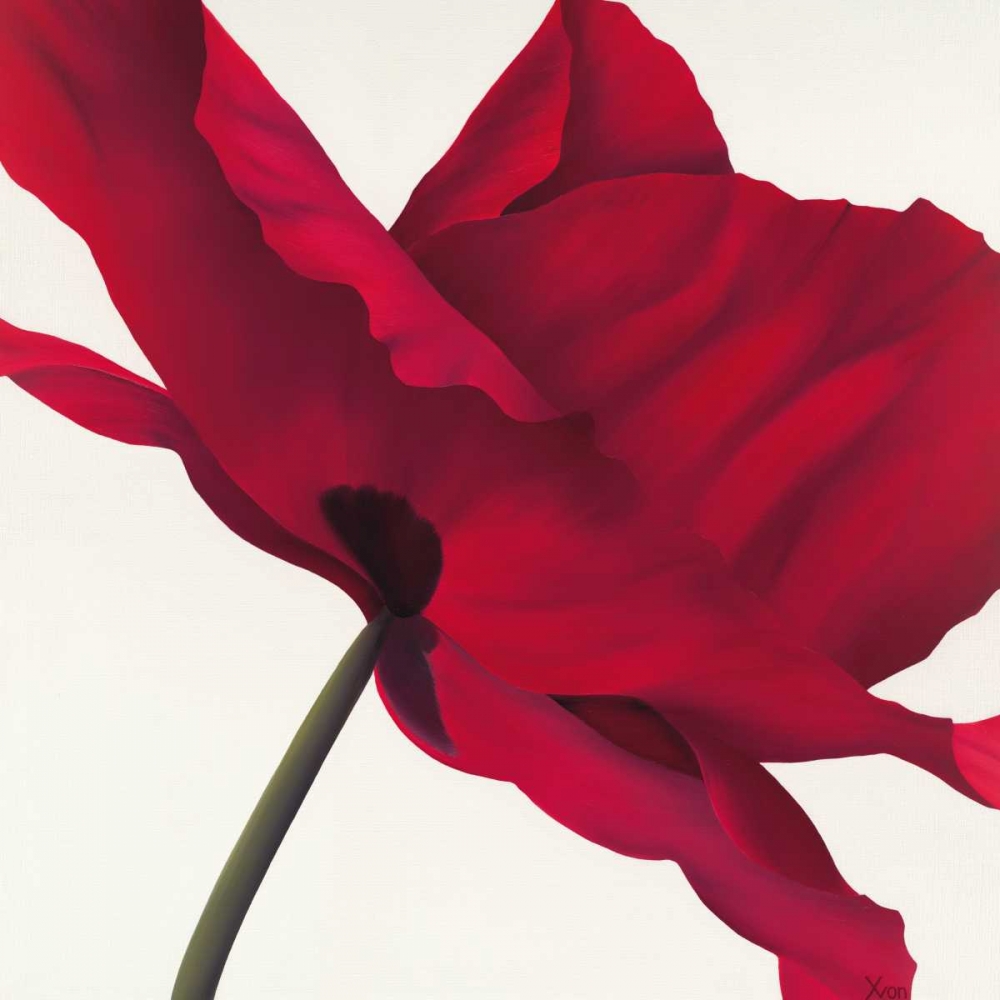 Papaver I art print by Yvonne Poelstra-Holzhaus for $57.95 CAD
