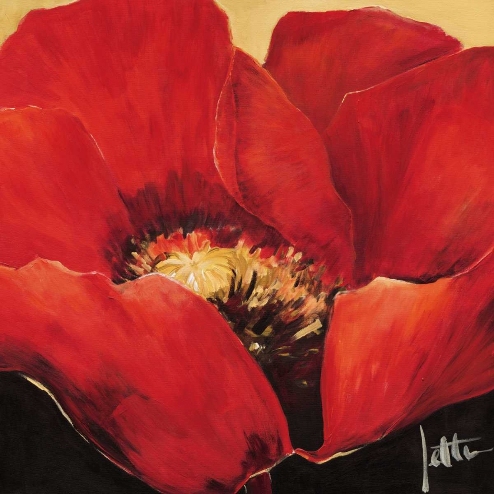 Red beauty II art print by Jettie Roseboom for $57.95 CAD