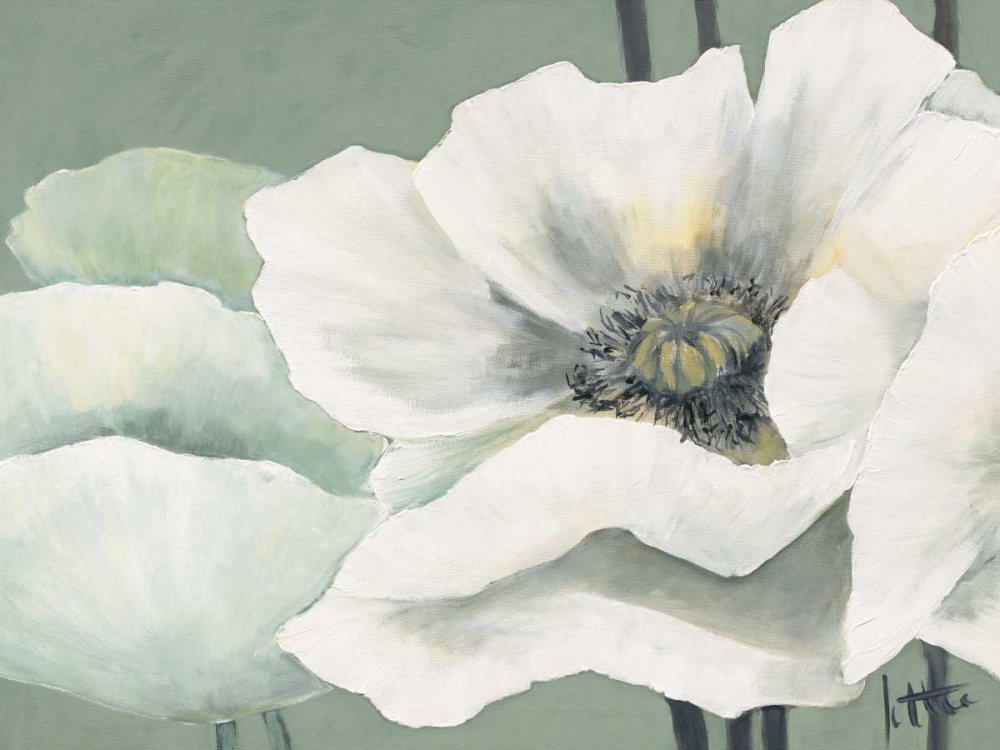 Poppy in Green II art print by Jettie Roseboom for $57.95 CAD