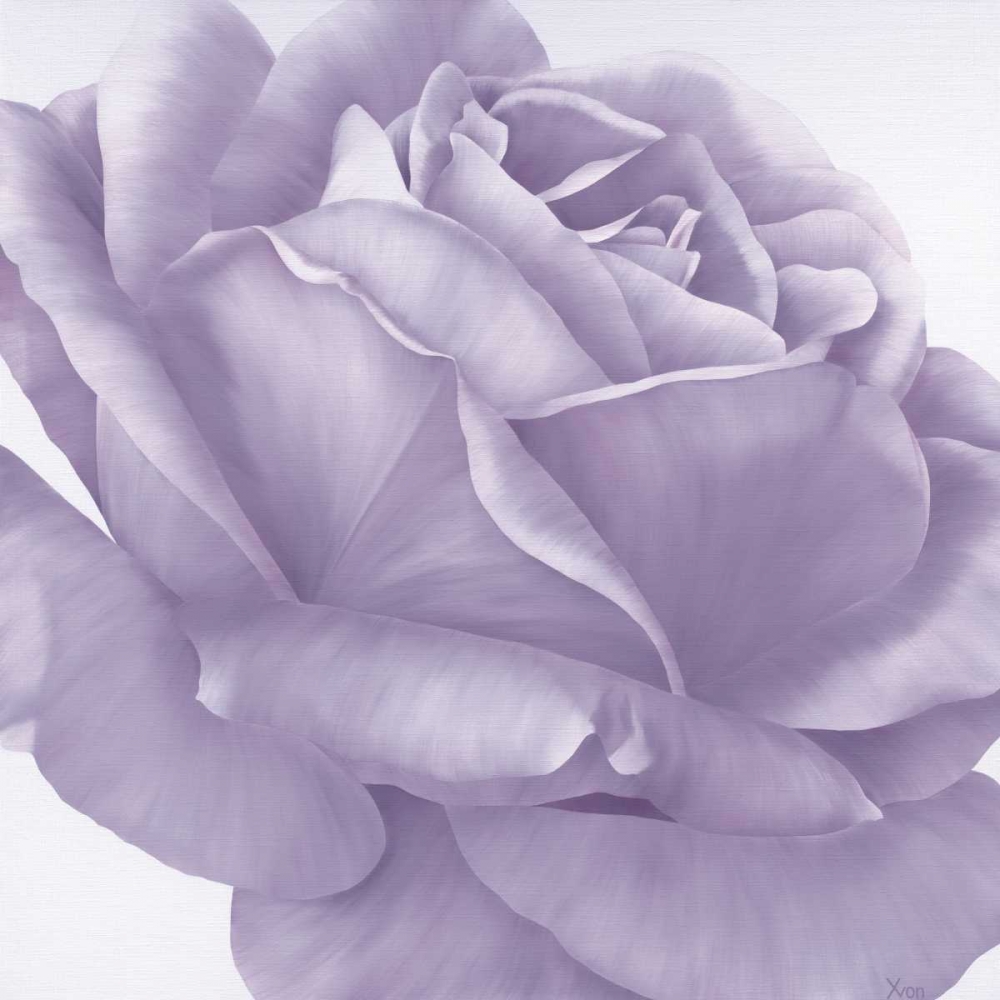 Magnificence I art print by Yvonne Poelstra-Holzhaus for $57.95 CAD