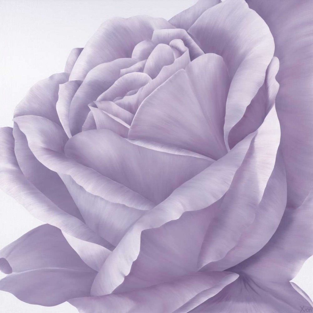 Magnificence II art print by Yvonne Poelstra-Holzhaus for $57.95 CAD