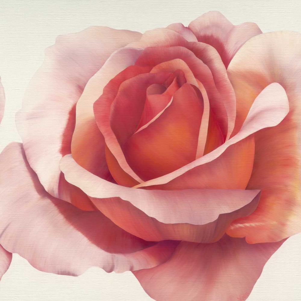 Magnificence III art print by Yvonne Poelstra-Holzhaus for $57.95 CAD