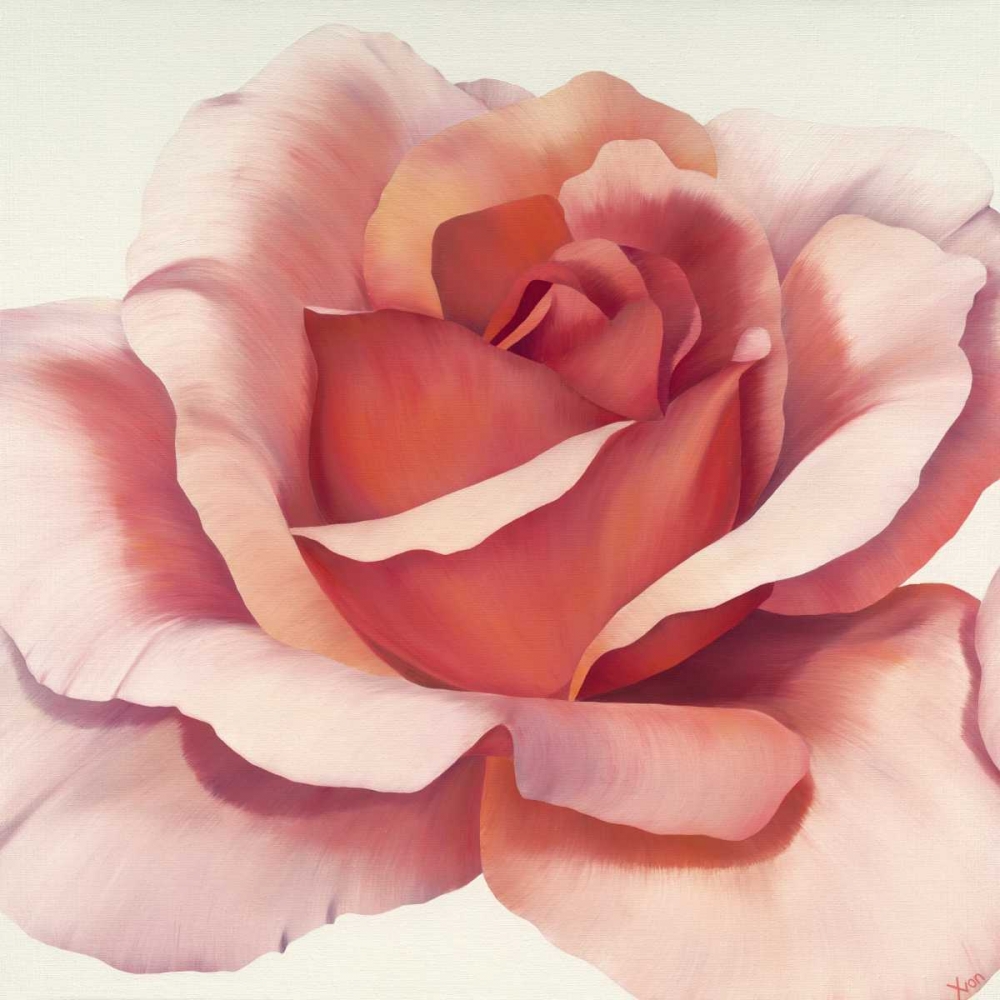 Magnificence IV art print by Yvonne Poelstra-Holzhaus for $57.95 CAD