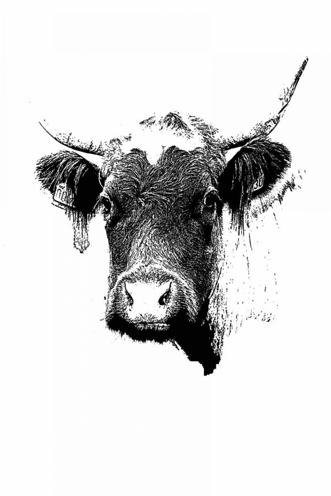 Bella12 art print by Anne Waltz for $57.95 CAD