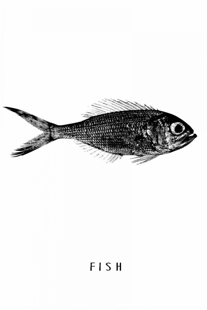 Fish art print by Anne Waltz for $57.95 CAD