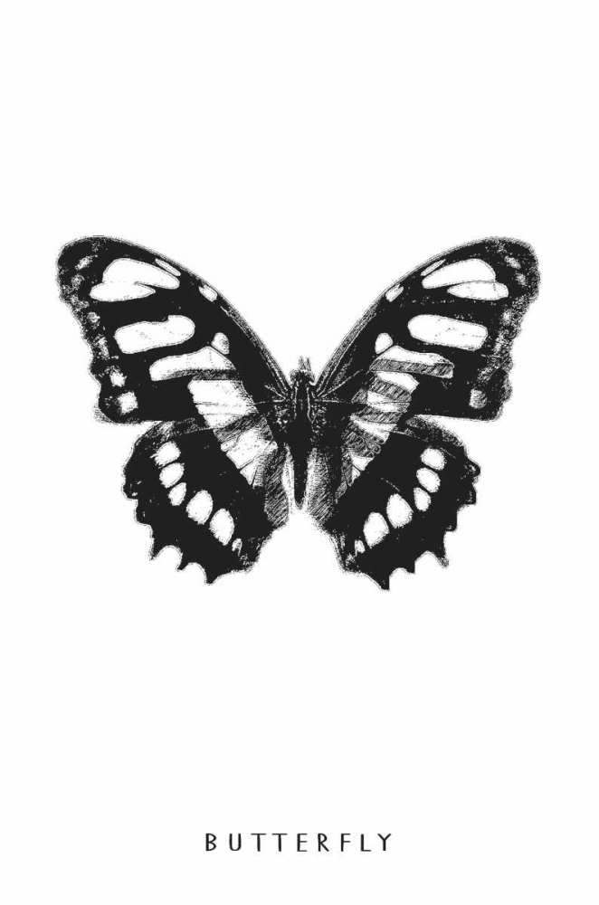 Butterfly art print by Anne Waltz for $57.95 CAD
