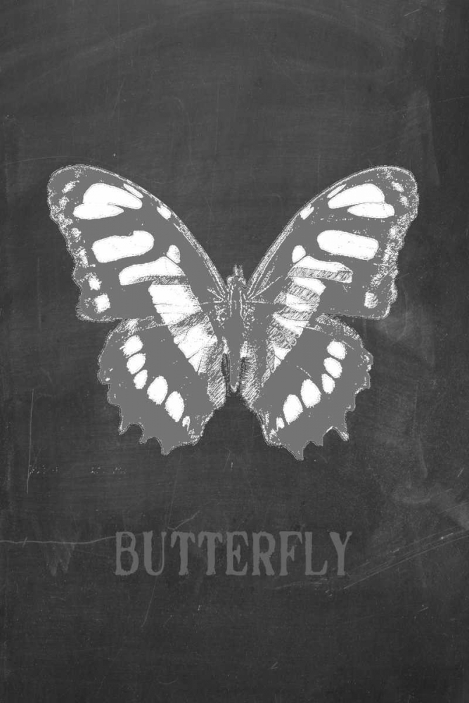 Butterfly Gris art print by Anne Waltz for $57.95 CAD