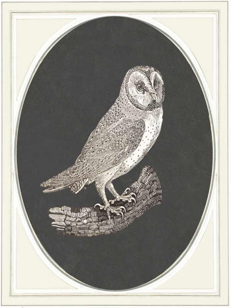 Oehoe II art print by Anne Waltz for $57.95 CAD