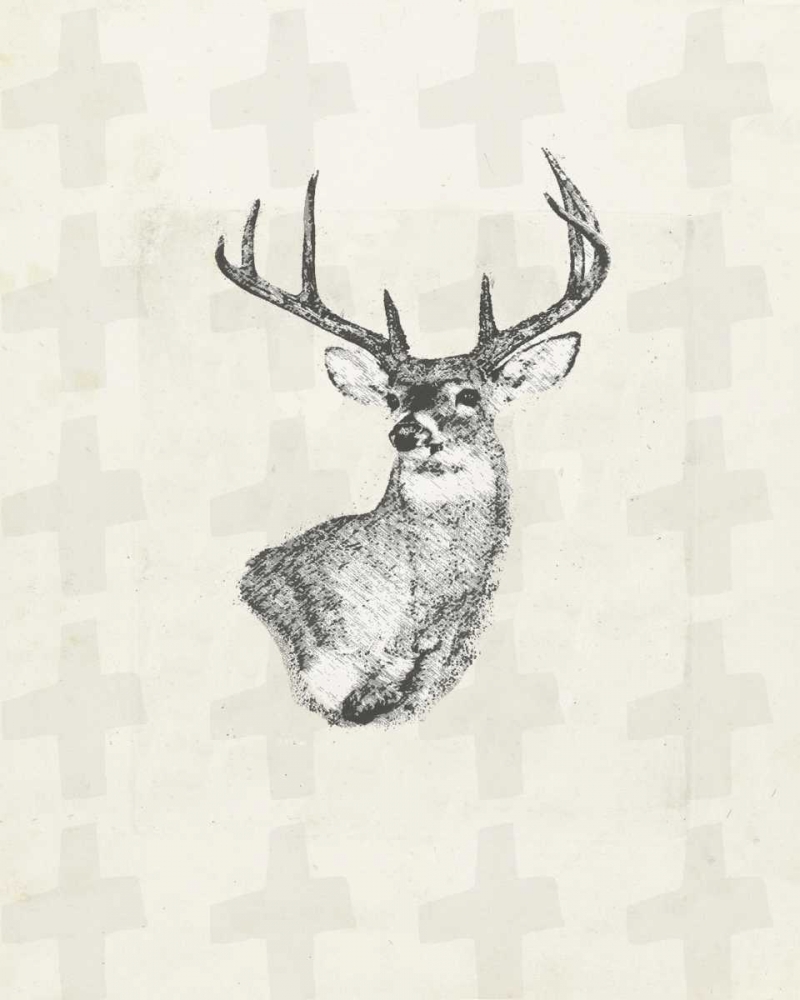 Deer wild II art print by Anne Waltz for $57.95 CAD