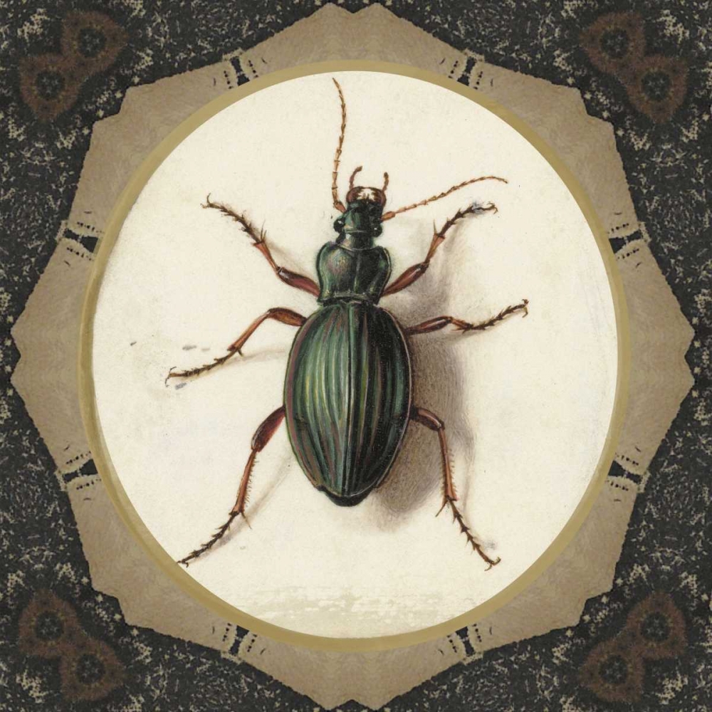 Bug me.. art print by Anne Waltz for $57.95 CAD