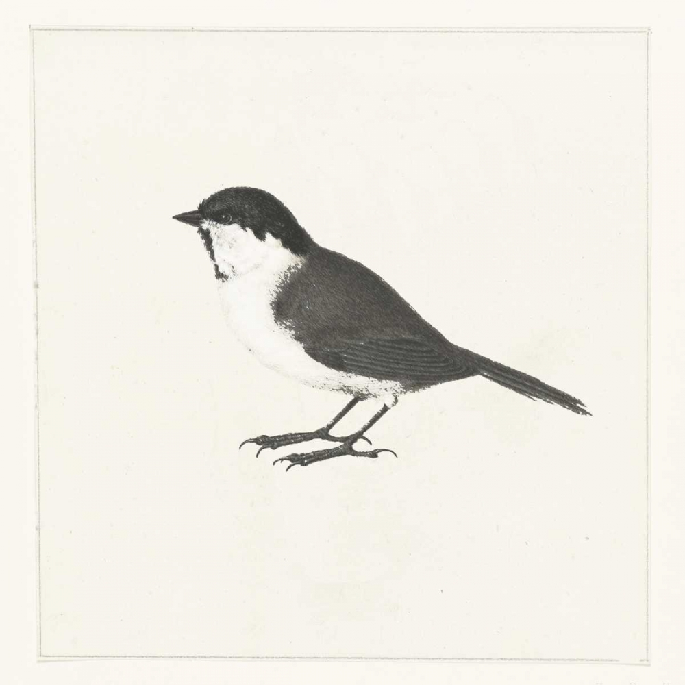 Birdy II art print by Anne Waltz for $57.95 CAD