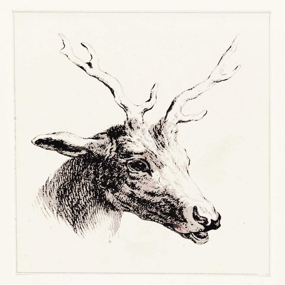 Adeerable I art print by Anne Waltz for $57.95 CAD