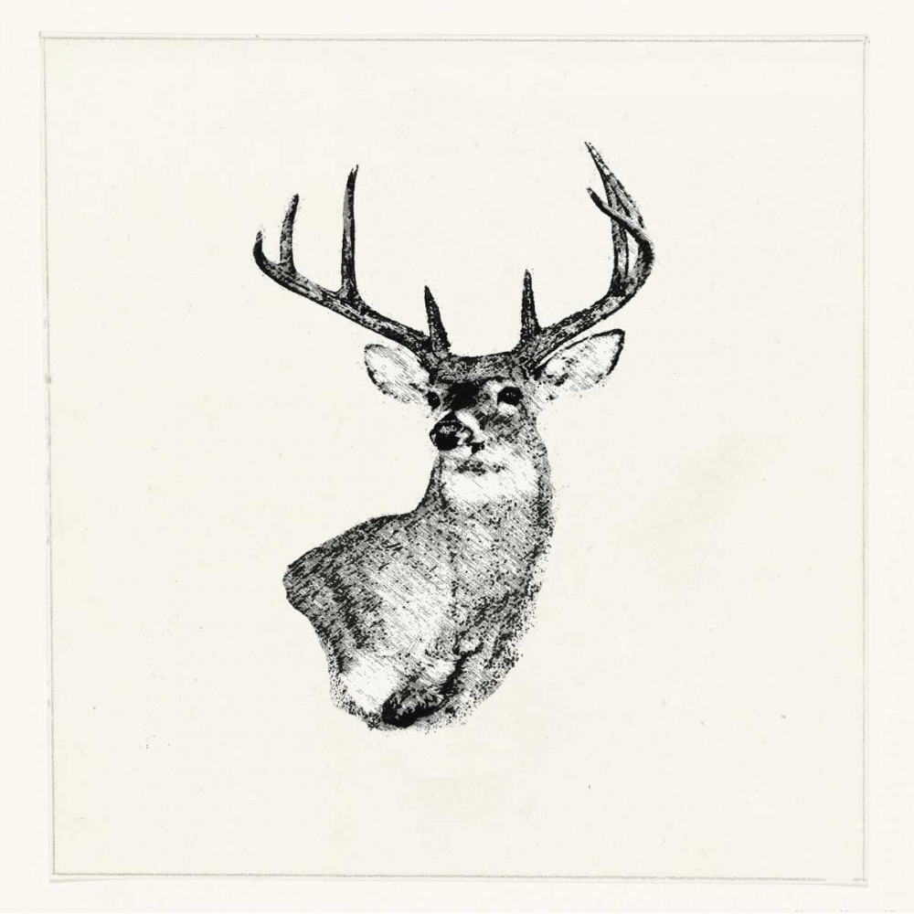 Adeerable II art print by Anne Waltz for $57.95 CAD