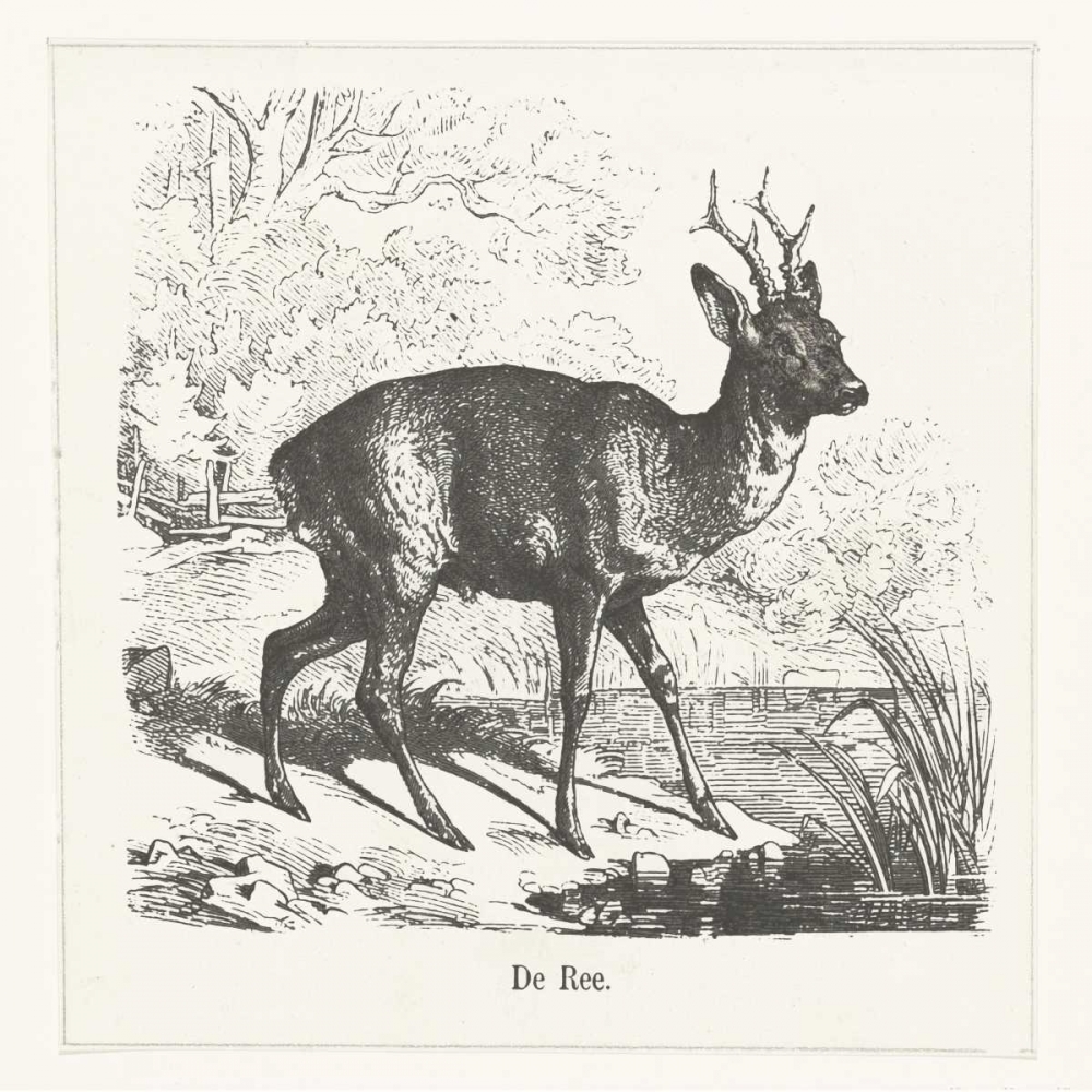 de Ree art print by Anne Waltz for $57.95 CAD