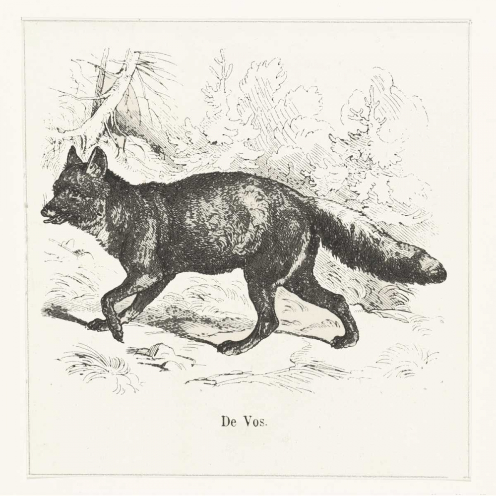 de Vos art print by Anne Waltz for $57.95 CAD