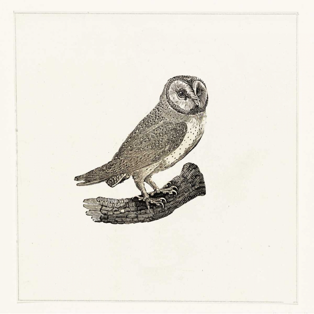 Uiltje art print by Anne Waltz for $57.95 CAD