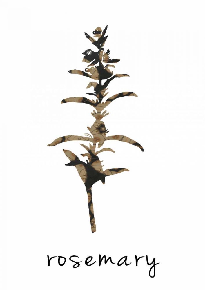 Rosemary art I art print by Anne Waltz for $57.95 CAD