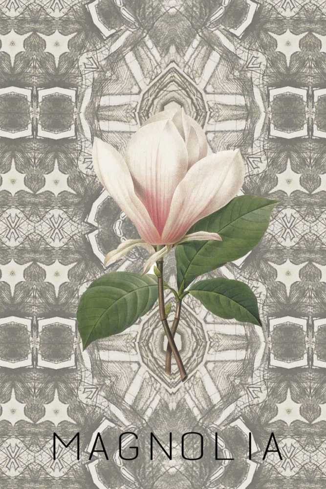 Magnolia II art print by Anne Waltz for $57.95 CAD