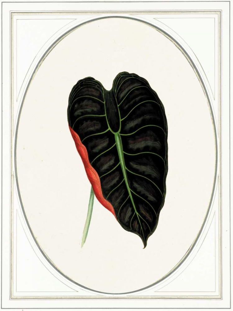 Close-up art print by Anne Waltz for $57.95 CAD