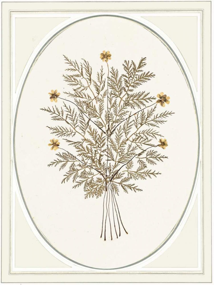 Gardenio IV art print by Anne Waltz for $57.95 CAD