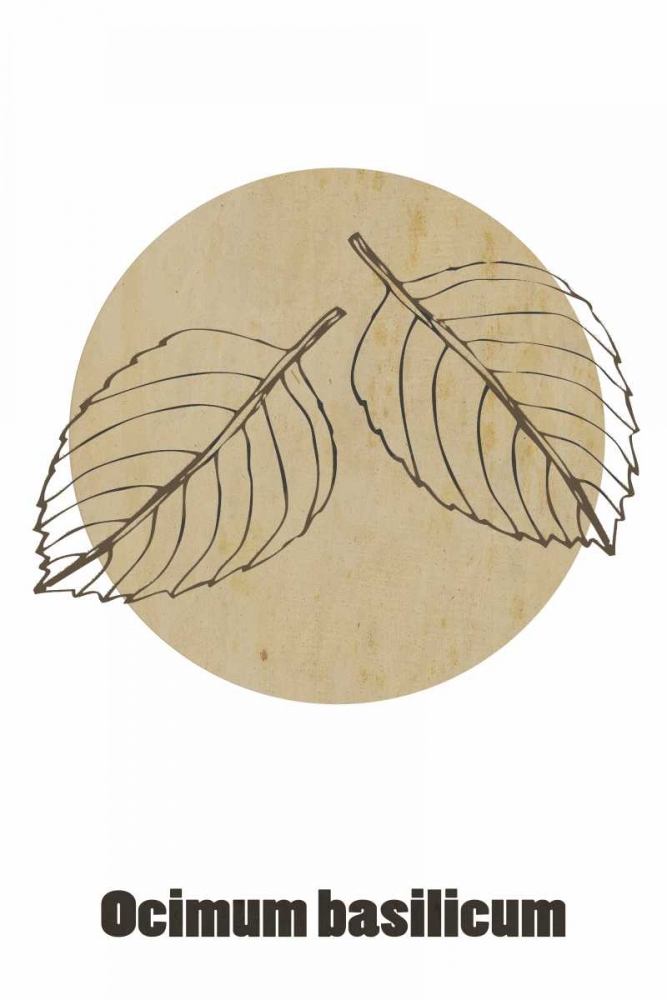 Oakleaf art print by Anne Waltz for $57.95 CAD