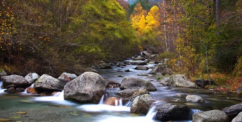 Forest and river 802 art print by J.A. Palacios for $57.95 CAD