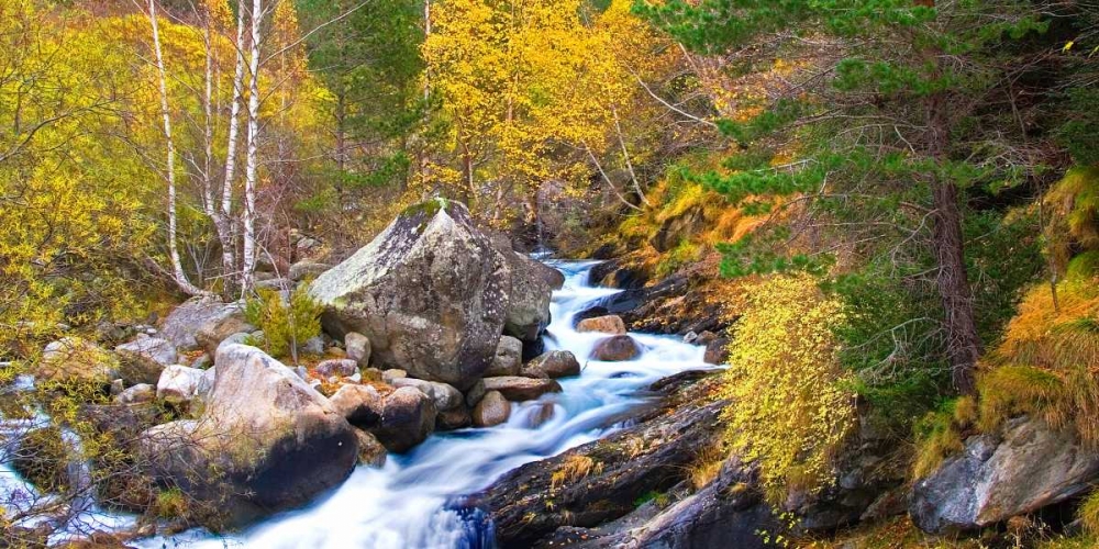 Forest and river 803 art print by J.A. Palacios for $57.95 CAD