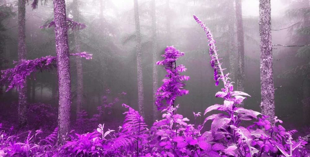 Lilac forest 810 art print by J.A. Palacios for $57.95 CAD