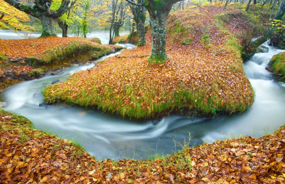Forest and river 846 art print by J.A. Palacios for $57.95 CAD