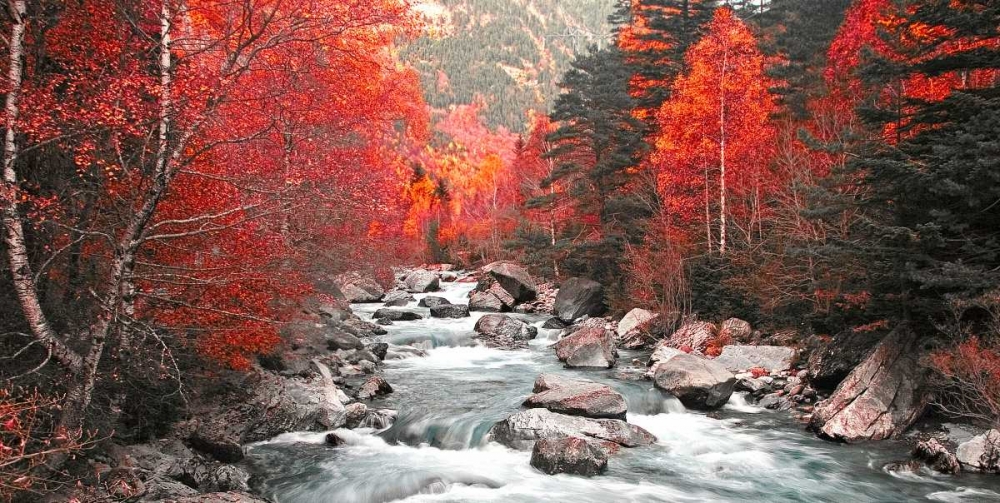 Red river and trees 831 art print by J.A. Palacios for $57.95 CAD