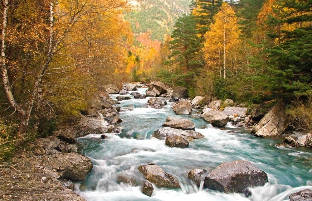 Wild river 830 art print by J.A. Palacios for $57.95 CAD
