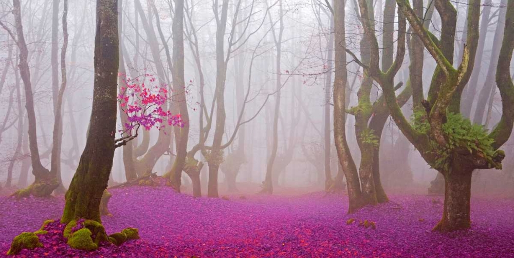Fuchsia forest leaves 829 art print by J.A. Palacios for $57.95 CAD