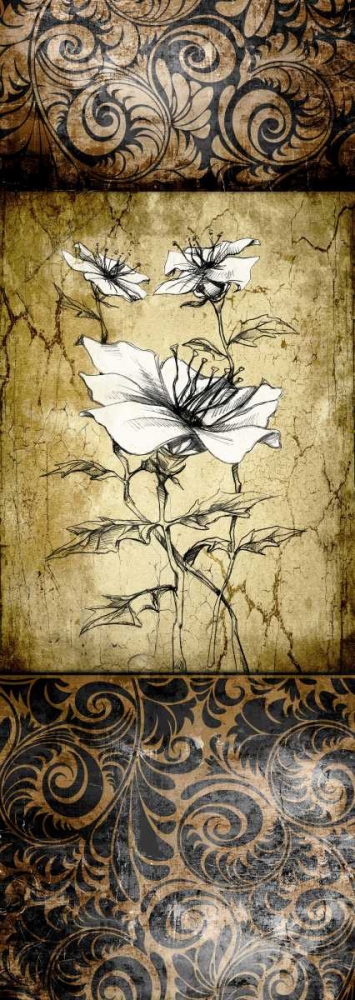 Brown Vintage II B art print by Susan P. Willow for $57.95 CAD