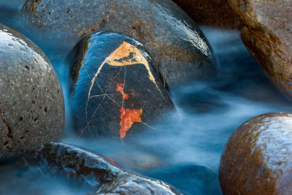 The jewel art print by Urtzi Vera for $57.95 CAD