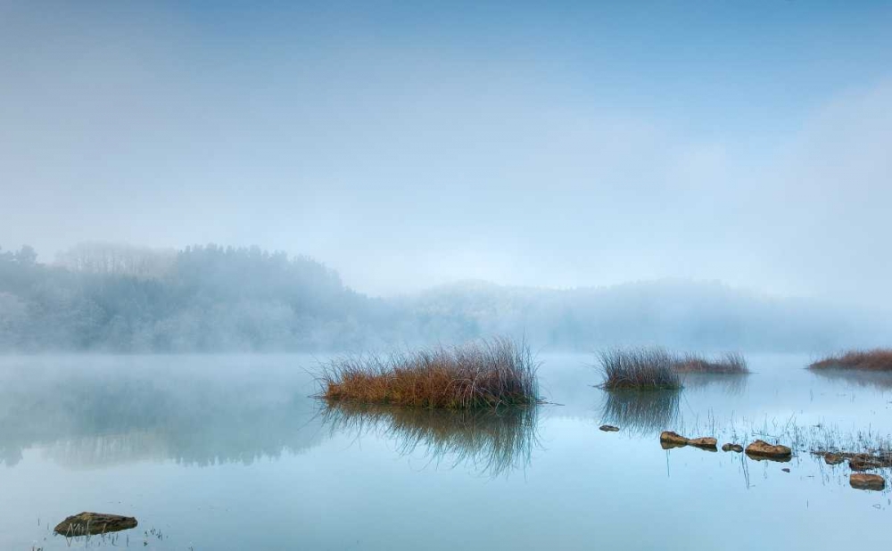 Blue dreams art print by Urtzi Vera for $57.95 CAD