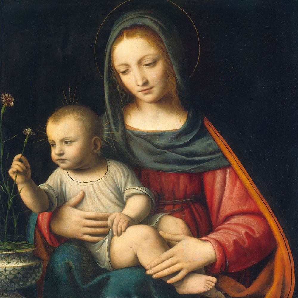 Madonna of the Carnation art print by Bernardino Luini for $57.95 CAD