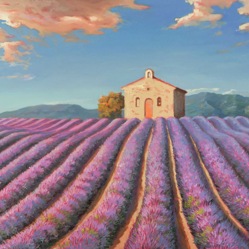 Campi di lavanda art print by Adriano Galasso for $57.95 CAD