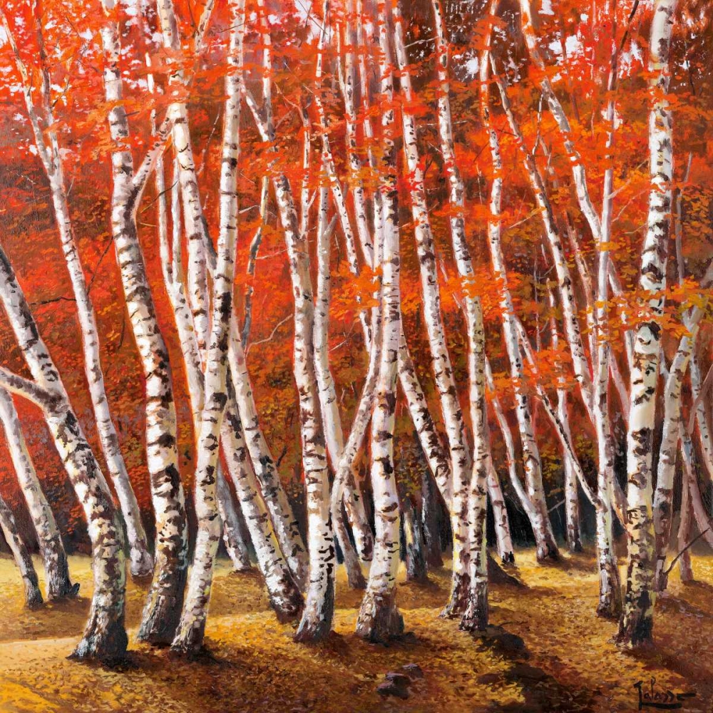 Bosco di betulle I art print by Adriano Galasso for $57.95 CAD