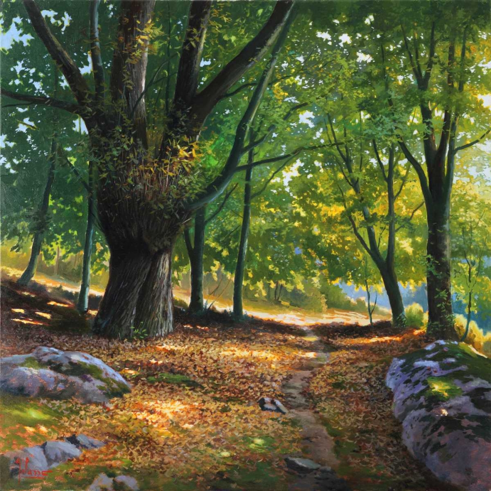 Luce nel bosco art print by Adriano Galasso for $57.95 CAD