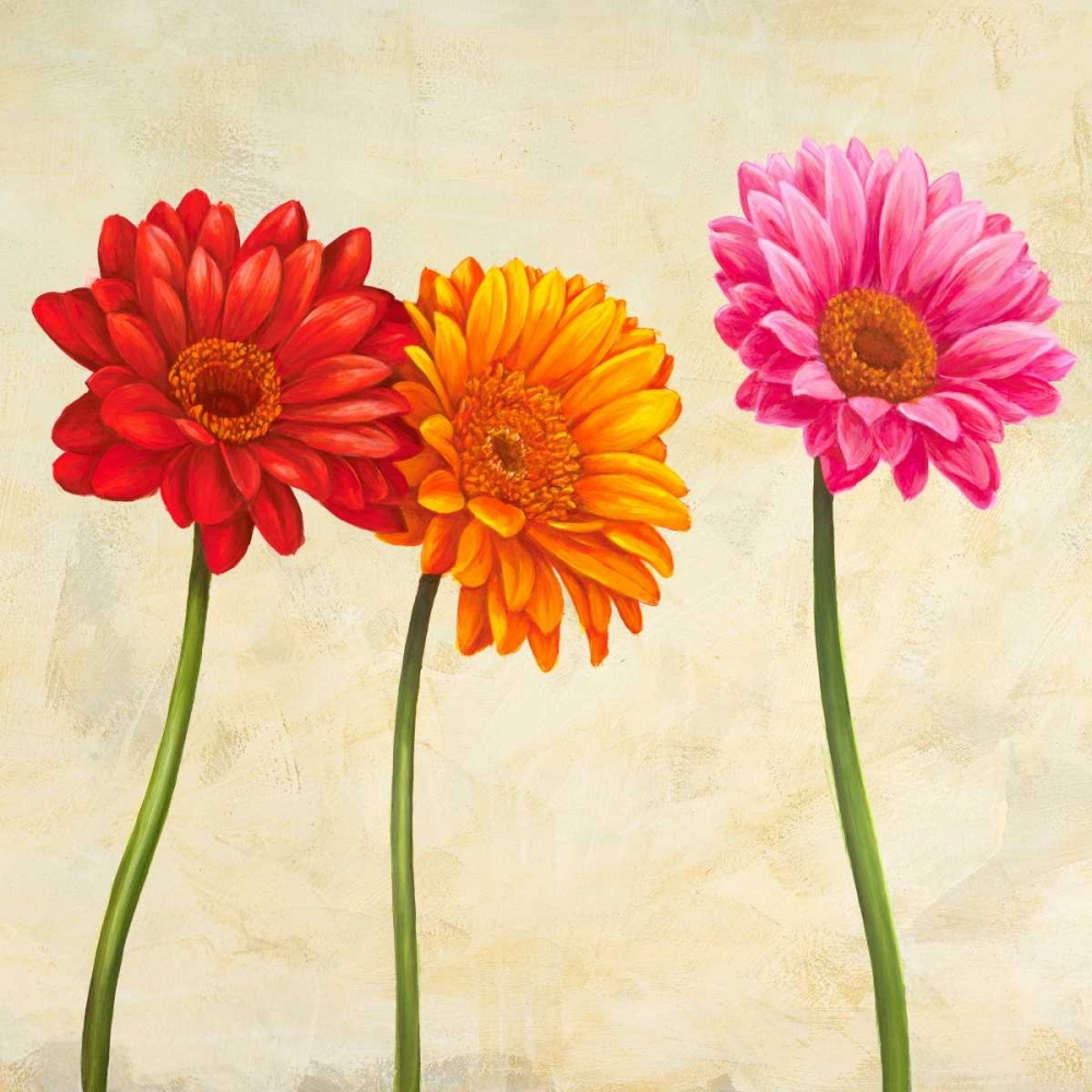 Gerberas art print by Cynthia Ann for $57.95 CAD