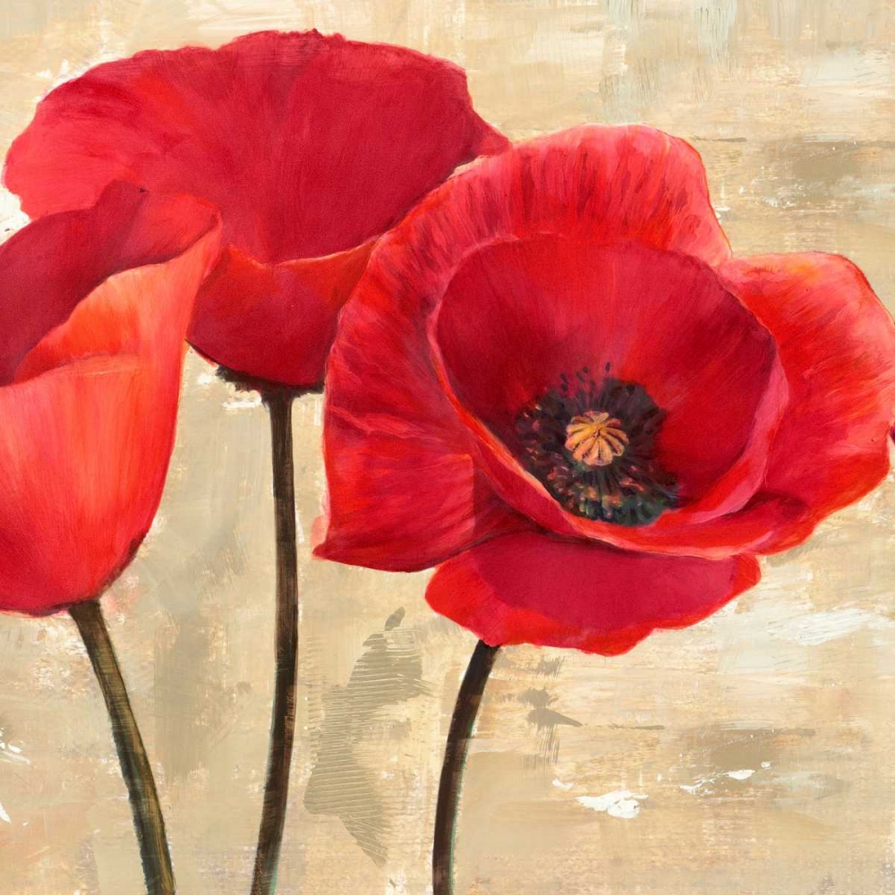 Red Poppies art print by Cynthia Ann for $57.95 CAD