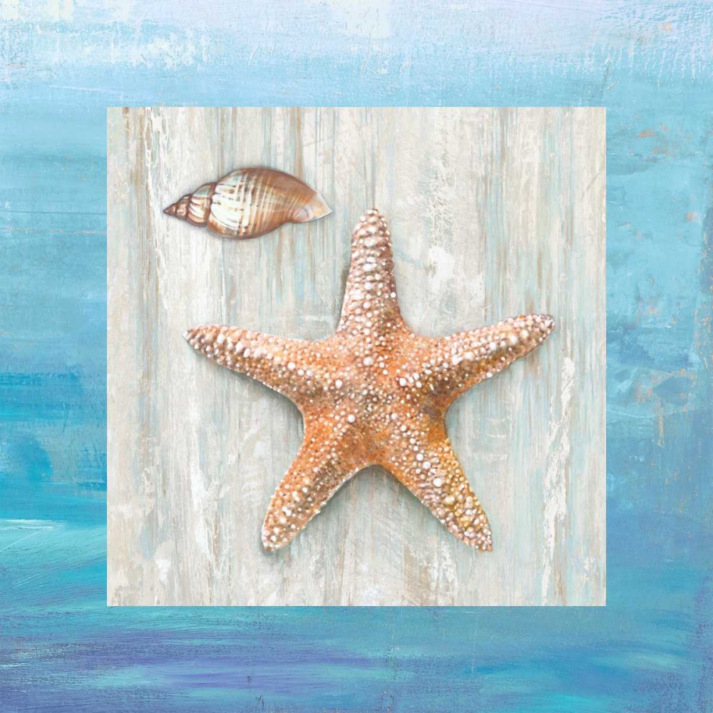From the Sea II art print by Ted Broome for $57.95 CAD