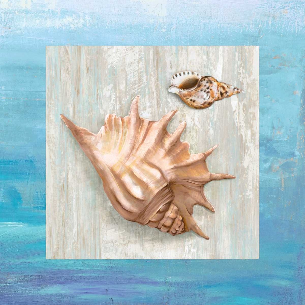 From the Sea III art print by Ted Broome for $57.95 CAD