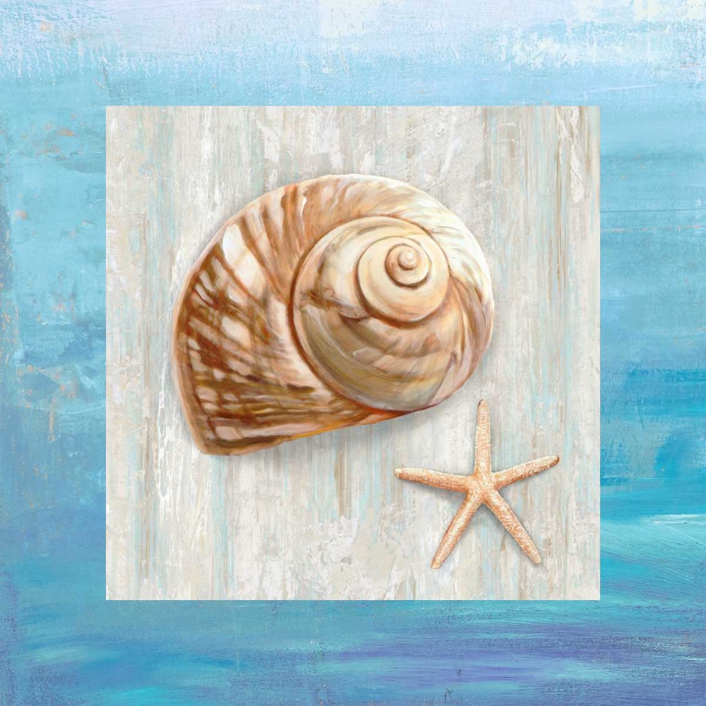 From the Sea IV art print by Ted Broome for $57.95 CAD