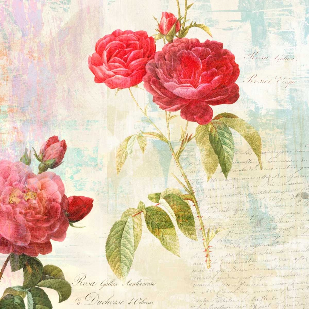 Redoutes Roses 2.0 - II├é┬á art print by Eric Chestier for $57.95 CAD