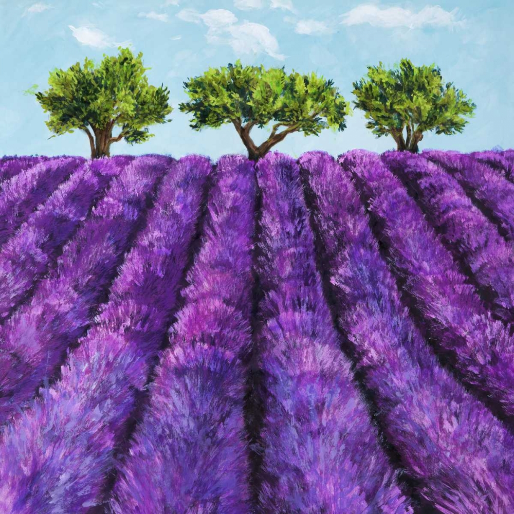 Filari di lavanda art print by Massimo Germani for $57.95 CAD