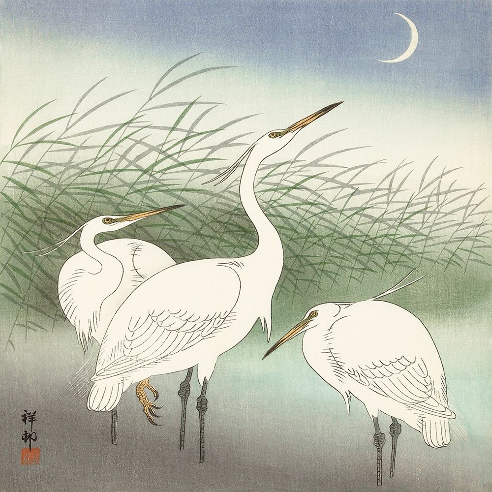 Herons in shallow water art print by Ohara Koson for $57.95 CAD