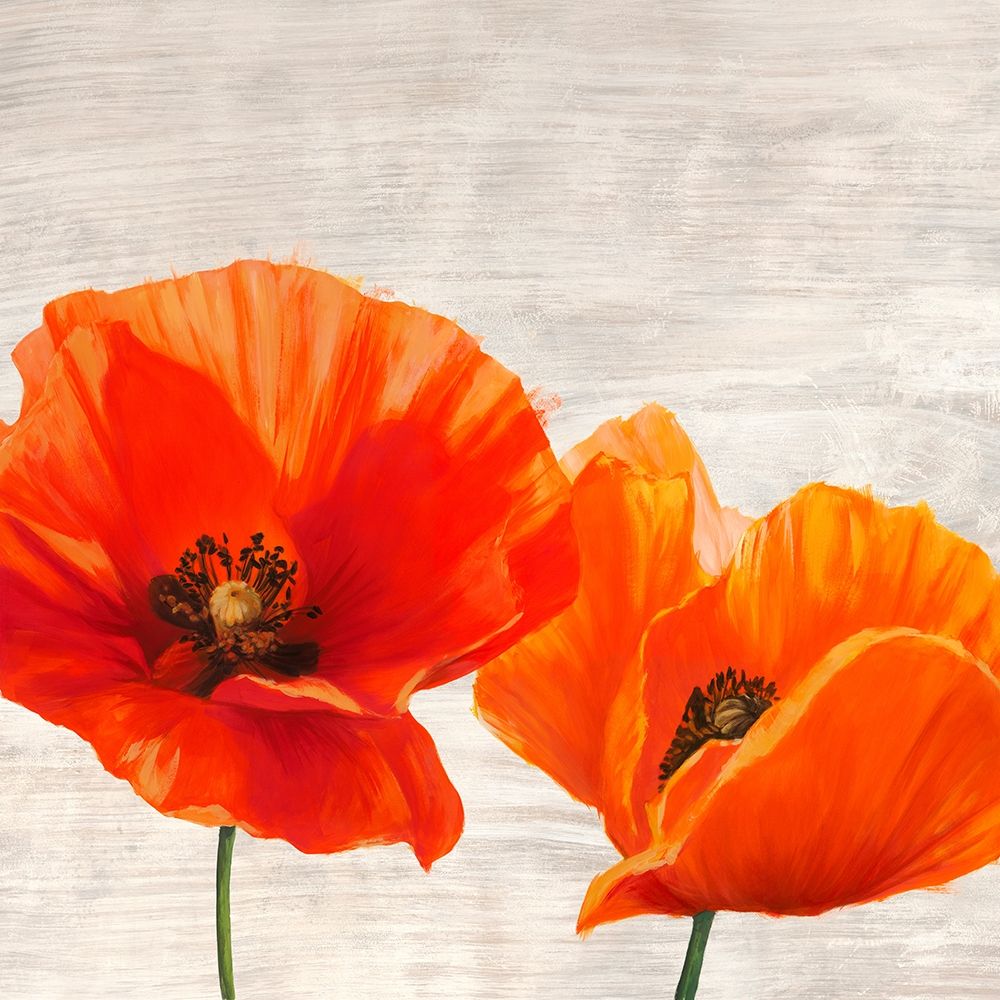 Bright Poppies I art print by Jenny Thomlinson for $57.95 CAD
