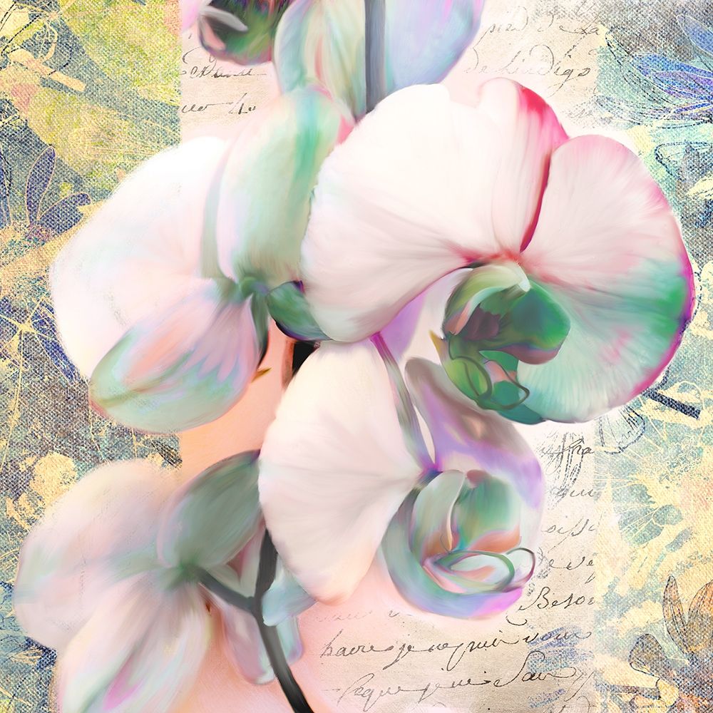 Kaleidoscope Orchid (detail) art print by Kelly Parr for $57.95 CAD
