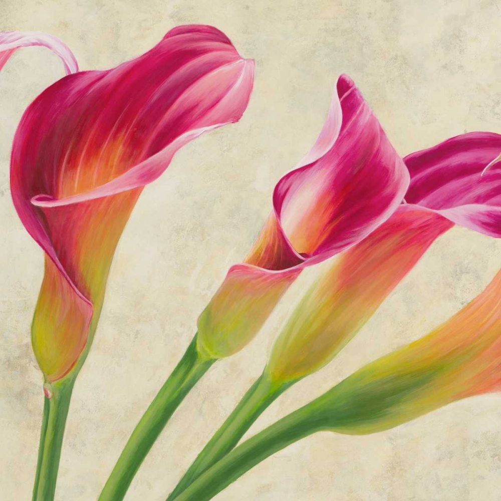 Calla parade art print by Luca Villa for $57.95 CAD